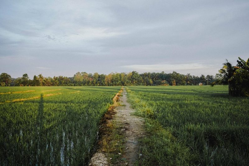 Vendre son terrain constructible dans les Yvelines 78
