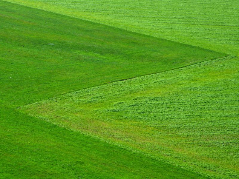 Terrain à bâtir viabilisé et libre de constructeur sur la commune de La Londe 76
